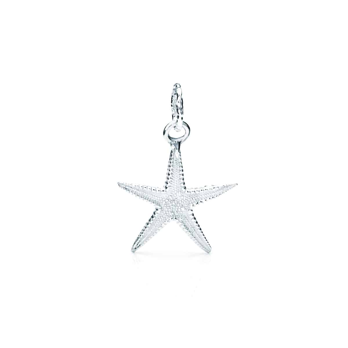 Ciondolo Stella Marina Zannone 17 mm in argento 925, ispirato alla natura selvaggia dell’isola di Zannone, Collezione Stelle del Circeo.