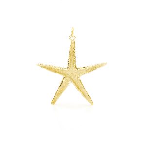 Ciondolo Stella Marina Zannone 50 mm in Argento Dorato