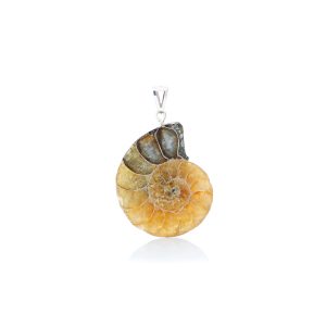 Ciondolo Ammonite in Argento 925 con conchiglia fossilizzata naturale, Collezione Oceano Mare.