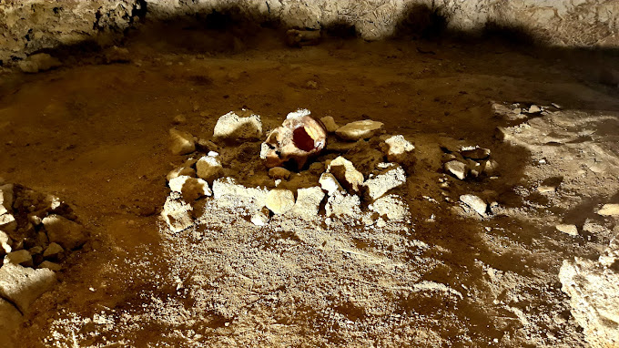 Teschio Uomo di Neanderthal nella Grotta Guattari